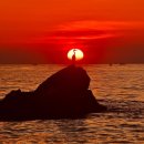 자연에 품 이미지