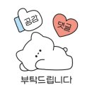 LK성형외과의원 네이버블로그