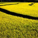 한맥공인중개사사무소 이미지