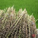 송고마을회관 이미지