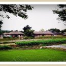 추억이머무르는곳 이미지