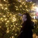 티판이 이미지