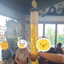 일프로 애견 | [후기] 일프로스쿨 2기 오프라인 모임 후기