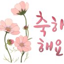이서우헤어 이미지