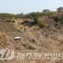 성산읍 시흥리 마을 안(상동) | [향토문화] ‘경찰과 도둑’ 놀이..시흥리 마을성담