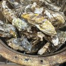 짬뽕1번가진하점 | 광주 농성동 굴찜 무한리필 맛집 진하수산 현지인 추천 내돈내산 메뉴 가격