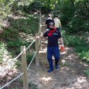 백운산 등산로 이미지