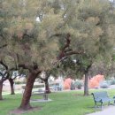 인숙농장 이미지