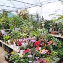 대지농산 이미지