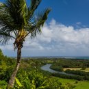 (주)초록숲환경 이미지