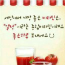 도자기엑스포장 Daum카페
