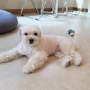몽실쌀롱 이미지
