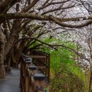 북한강로 이미지