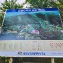 세종환경자원 | 세종가볼만한곳 금강수목원 25년6월30일 폐관. 이번달이 마지막 관람기회~