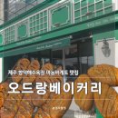 5404 | [제주 함덕] 오드랑베이커리 함덕 | 주차정보·마농바게트 솔직후기(내돈내산)