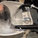 서호달 | 2026 미사 히피펌 맛집! <헤어서호> 30대 후반 히피펌 후기