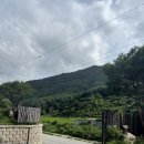 잔원유림 | 잔원 유림 풀빌라 (양평 숲속 감성 숙소/내 돈 내산)