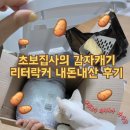 채터박스잉글리쉬학원 | 초보집사 고양이 감자 캐기 리터락커 에어씰봉투 사용 후기(고양이 똥오줌 냄새 쩐다..)