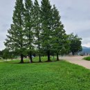 두물머리 화장실 이미지