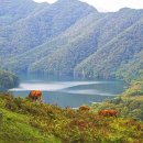 해피알프스 이미지