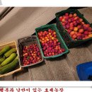 효세농장 이미지