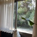 새솔민박 이미지