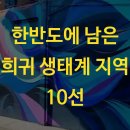 한반도소금산업 | 한반도에 남은 희귀 생태계 지역 10선