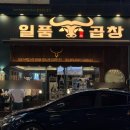 검단신도시 맛집 아라동 술집 곱창 맛집 검단신도시 일품곱창 본점 방문 후기