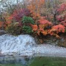 삼둔사가리 이미지