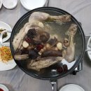 자연에펜션 | 대전근교 물놀이장 완주 자연숲펜션 평상 수영장 후기