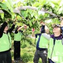 대훈농장 이미지