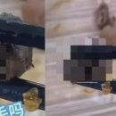 유한식당 이미지