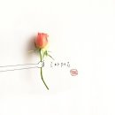 리안인테리어 이미지