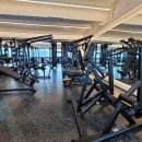 뭉트니스 이미지