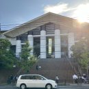 단정하개 이미지