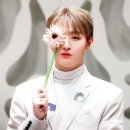 솔로아트 이미지