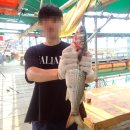 낚시천국 | 우럭 천국 당진 난지도낚시 훼미리호좌대낚시