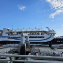 부산자갈치 이미지