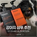 아임독 애견샵 | 드디어 써본 레나독 애견샴푸 애견미용실에서 쓰는 강아지샴푸 추천