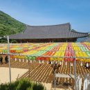 부부스시 이미지