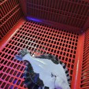 아싸실내낚시터 | 울산놀거리 해적바다실내낚시터 솔직 후기