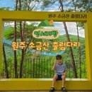 하늘정원 | 강원도 원주 가볼만한곳 소금산 그랜드밸리 케이블카 탑승과 출렁다리, 하늘정원 방문 후기