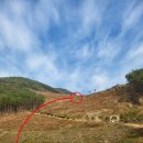 밀양 노벨컨트리클럽 이미지