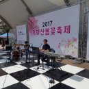 한별음악학원 Daum카페