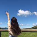 덕이목장 이미지