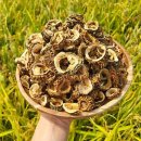 천지농원 이미지