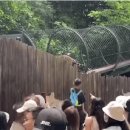 이시키 이미지