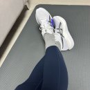 알펜 플래그쉽 | 아식스 매직스피드5 신상 런닝화 국내 출시전 신주쿠 알펜도쿄에서 면세로 구매 후기(착샷O)