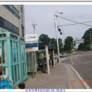 양감면 요당3리 경로당 | 한남서봉지맥(4차) 덕지산구간(주산봉-금곡삼거리 39번도로)(1/2)(2009.06.28(일))