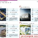 라펠리체